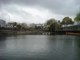 s002.jpg