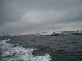s003.jpg