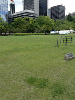 s写真 1.jpg
